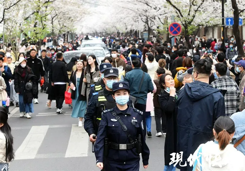 “鸡鸣寺路的警察比樱花好看！”网友点赞：赏花人流中的“定海神针”