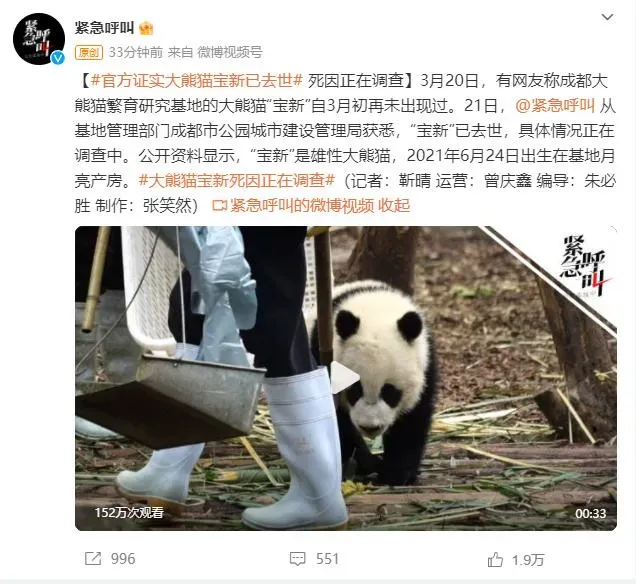 成都大熊猫基地“宝新”去世 官方回应：死因正在调查中