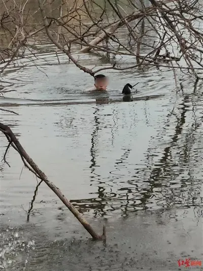 大学生跳江救下被困的野鸟：“如果见死不救会成为遗憾”