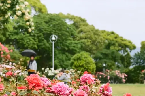 夫妻努力奋斗的励志句子 两口子共同努力奋斗的说说发朋友圈