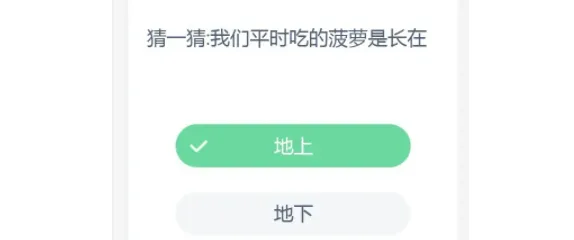 猜一猜我们平时吃的菠萝是长在哪里？蚂蚁庄园9月15日答案最新版