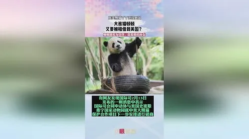 丫丫到底有没有回国了吗,确定了，受苦受难的国宝丫丫终于能回国了