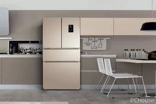 什么样冰箱家用最实用,家用冰箱怎么选（选择家用冰箱的准则）