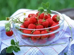 草莓洗了就能吃吗,草莓不洗能直接吃吗？两次实验数据告诉你答案