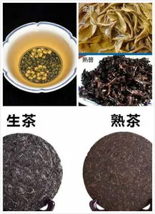 普洱茶生茶和熟茶哪个好