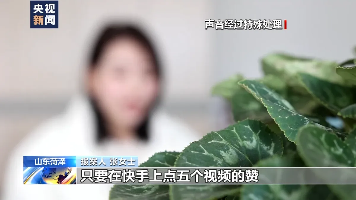 打击电信网络诈骗 山东菏泽警方破获电信网络诈骗案