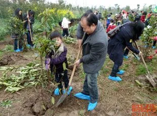 今天是中国第 45 个植树节，有哪些你觉得不错的公益植树活动？,宁德推出25个义务植树点 5万余株林木供认养