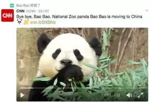 大熊猫回国饲养员哭了,大熊猫香香回国日本人爆哭！粉丝们追到机场：没了香香我可怎么活
