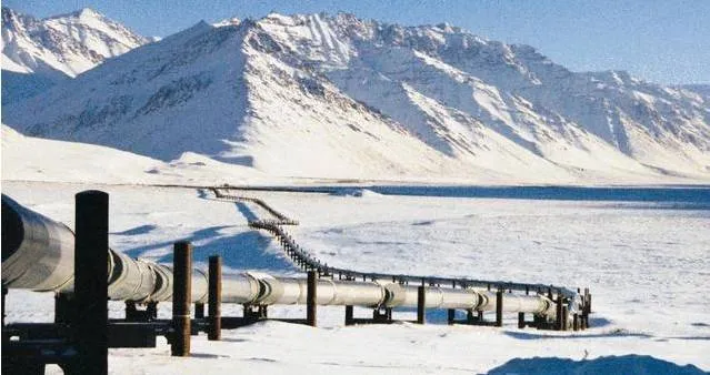 美政府宣布限制和阻止 在阿拉斯加和北冰洋进行油气钻探