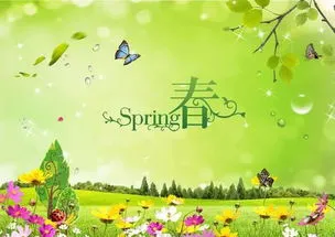 形容春天美好的诗句,适合春天发朋友圈的诗句，浪漫又唯美