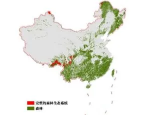 我国2022年森林覆盖率,2022年湖南完成营造林面积574.57万亩 森林覆盖率达59.98%