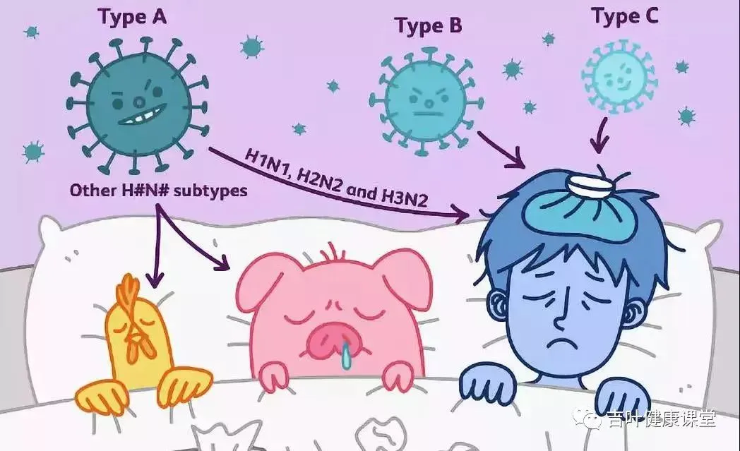甲型流感吃什么药效果最好 这几种药主治甲型流感