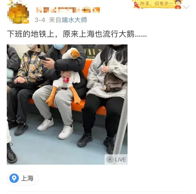 最近街头怎么那么多“鹅” 回头率相当高！有人已上当