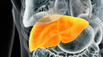 脂肪肝一般几年肝硬化
