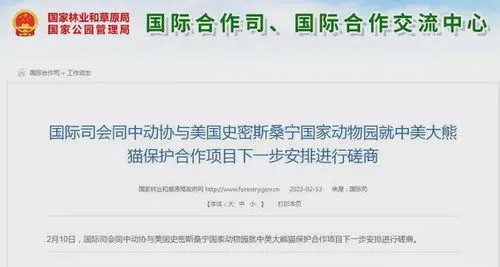 熊猫丫丫2023年几月回国?,北京饲养员下周赴美接熊猫“丫丫”回国，有企业已表态认养