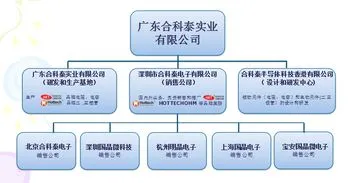 一个公司完整的组织架构