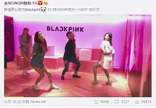 blackpink成员队内担当分配,BLACKPINK的成员