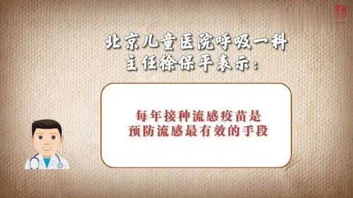 甲流病毒进入人体后会经历什么