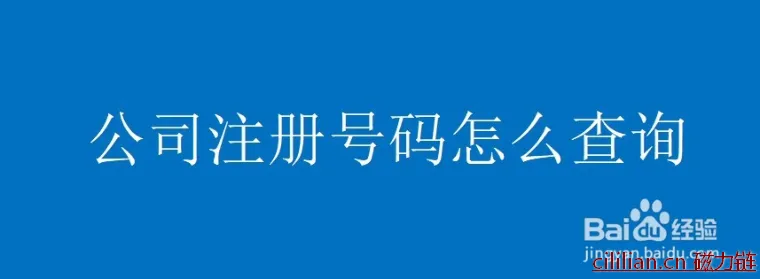 公司注册号码怎么查询