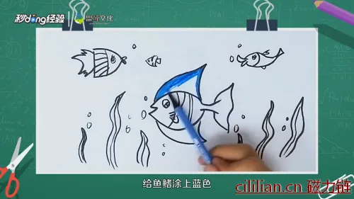 海底世界怎么画？