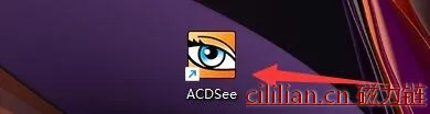 ACDSee软件如何设置使用光盘序列号