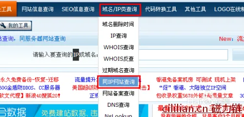 同ip网站域名查询、用站长工具同服务器网站查询