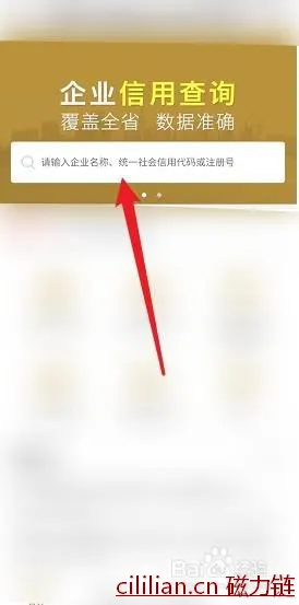 公司注册号码怎么查询