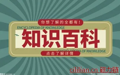 你知道单子叶植物与双子叶植物的区别是什么吗？如何分辨单子叶植物与双子叶植物？