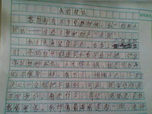 我也了不起600字优秀作文初中,最新运动会观后感600字作文