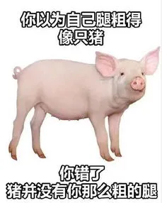 最近胖成了猪图片