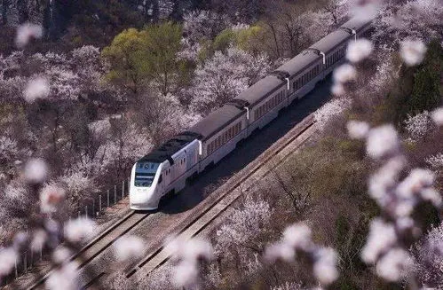 开往春天的列车比喻