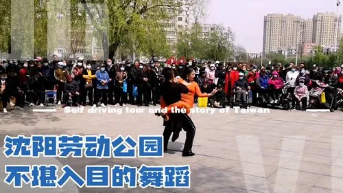 沈阳劳动公园跳舞,盘点沈阳劳动公园尬舞网红的本命英雄