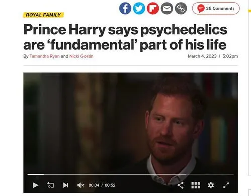 英国哈里王子承认吸毒,英国哈里王子承认吸毒，称迷幻药是生活的“基本”部分