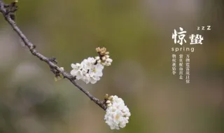 惊蛰打小人是什么意思 惊蛰打小人指什么