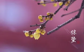 惊蛰节气最大的特点是什么