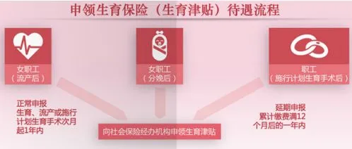 2023年生育津贴新政策,2023年中国生育政策的转折