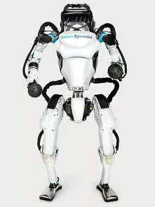 特斯拉ai机器人,售价2.5万美元，特斯拉人形机器人前景几何？
