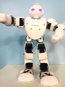 中国智能人形机器人,万亿蓝海市场迎来重磅玩家，纯米入局人形智能机器人，智能家庭生态未来或成可能