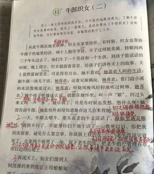 语文教材越改越烂,四年级男生为小学语文教材“挑刺”，教材改了