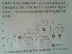 常隐遗传病有哪些,纯种狗都有遗传病？ 那是因为你不懂繁殖！