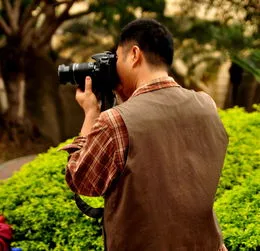 摄影爱好者陈老师,比大熊猫还珍稀！“极危”鸟类黄胸鹀来福州“过冬”