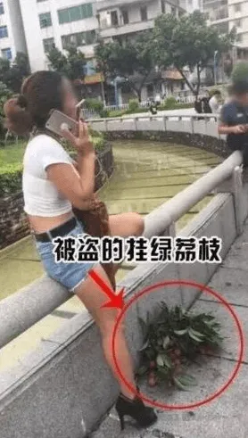 偷吃荔枝的女子照片资料  挂绿荔枝是什么品种