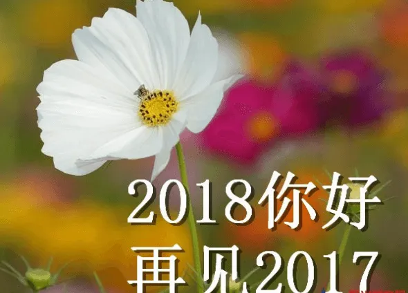 2018跨年晚会全网络平台直播视频观看地址