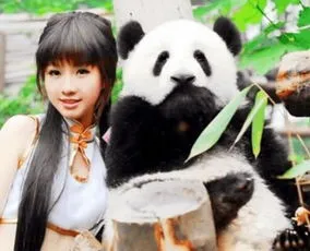 日本给熊猫洗死了,旅美熊猫乐乐死亡，有猫腻？多国排队租熊猫，养熊猫太挣钱了