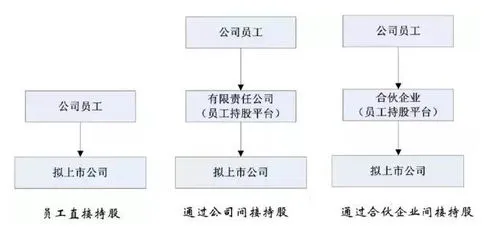 股东分红如何合理分配