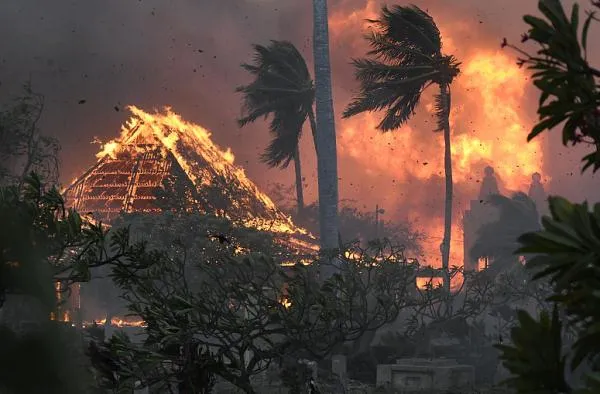 美国夏威夷大火是怎么引起的 夏威夷火灾原因是什么
