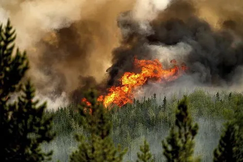 加拿大大火烧了多长时间了？ 加拿大森林大火烧了多久？