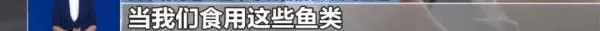 吃了核辐射的食品对人有什么伤害 吃了的鱼会怎样