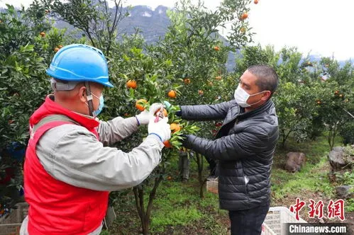 湖北贫困户一年可以拿几万 湖北贫困户一年可以拿几万吗