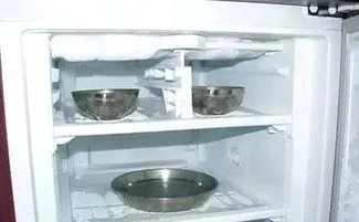 冰箱冷冻结冰怎么快速融化 冰箱冷冻结冰怎么快速融化掉